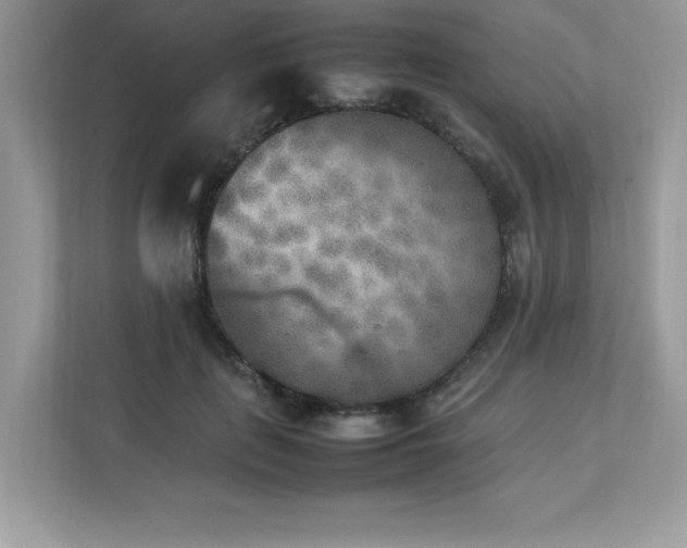 X0000112850651200908211301