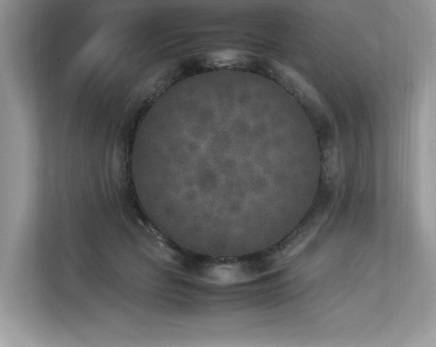 X0000112850653200908211301