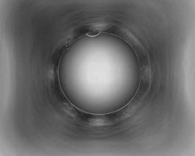 X0000112850655200908211301
