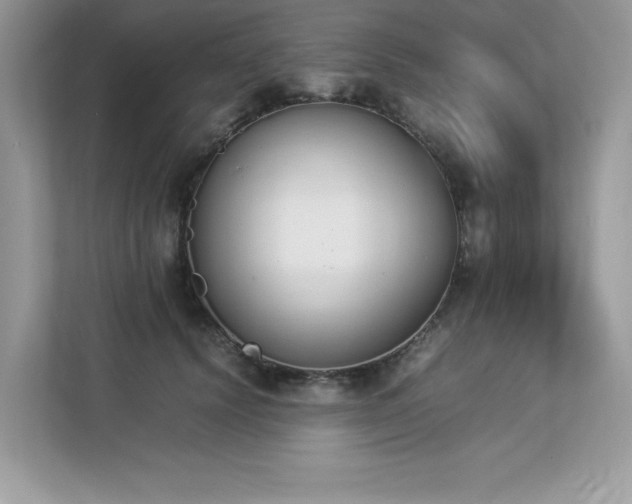 X0000112850656200908211301