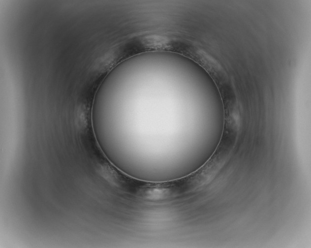 X0000112850658200908211301