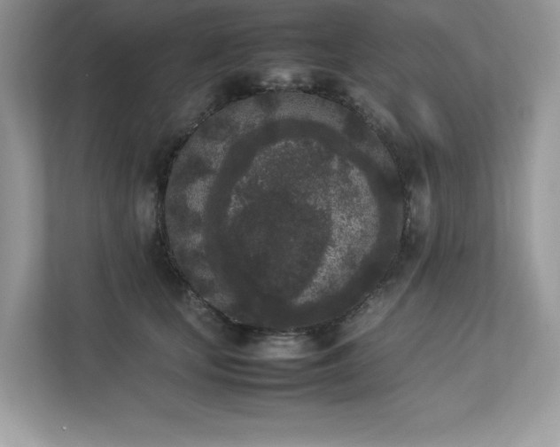 X0000112850659200908211301