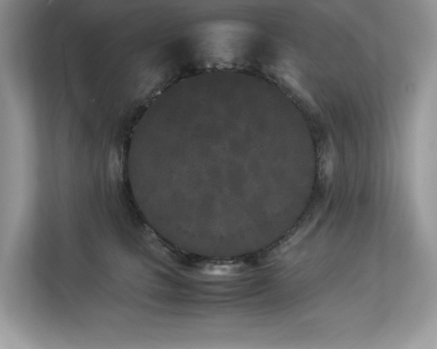 X0000112850661200908211301