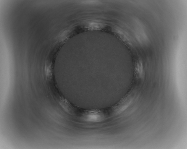 X0000112850663200908211301