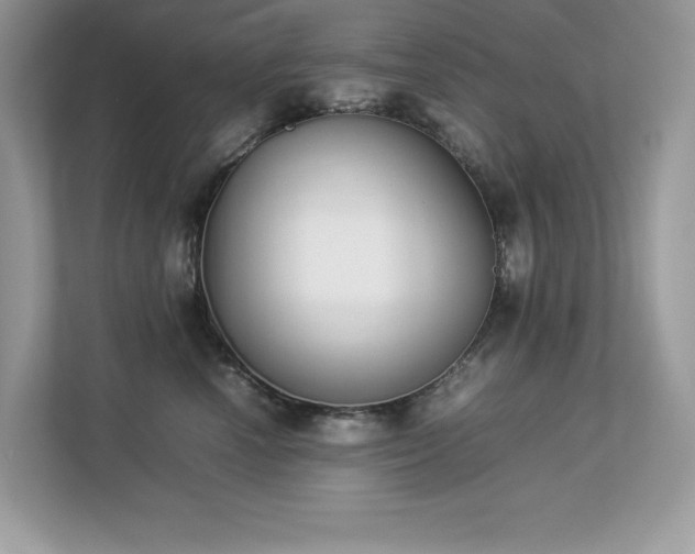 X0000112850666200908211301