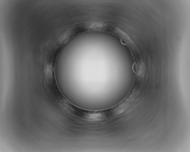 X0000112850669200908211301