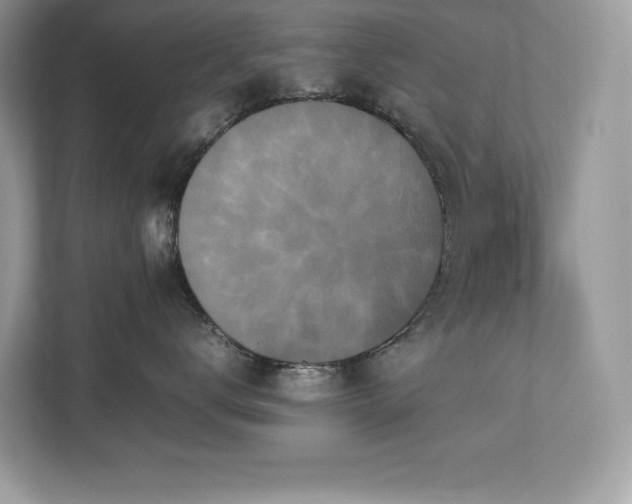 X0000112850672200908211301