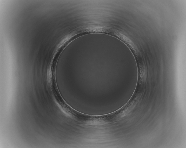 X0000112850674200908211301