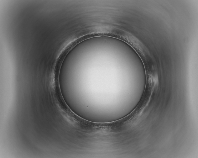 X0000112850676200908211301