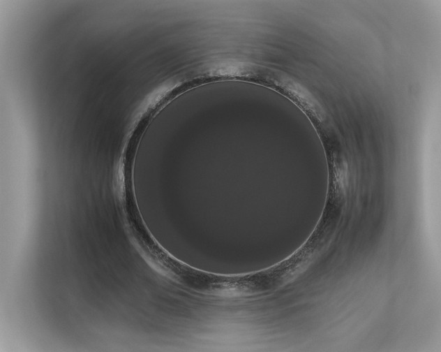 X0000112850678200908211301