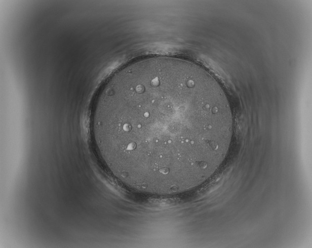 X0000112850679200908211301