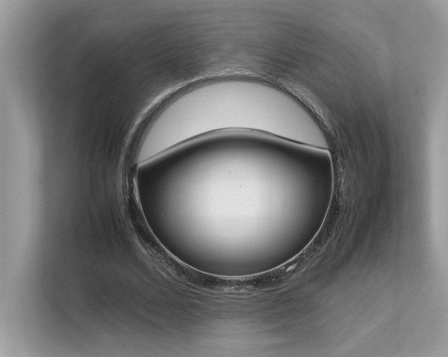 X0000112850680200908211301
