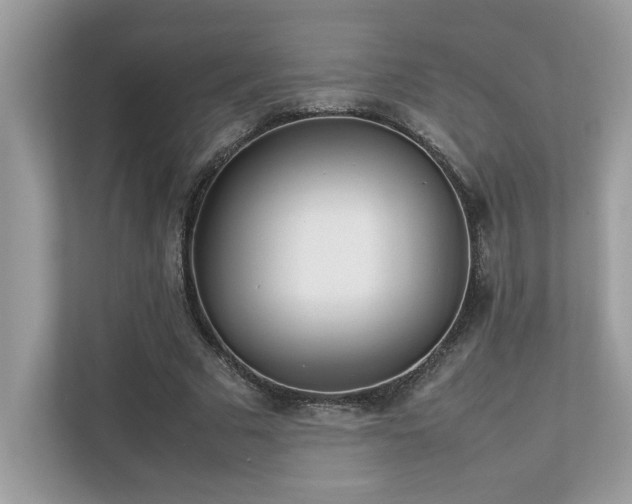 X0000112850681200908211301