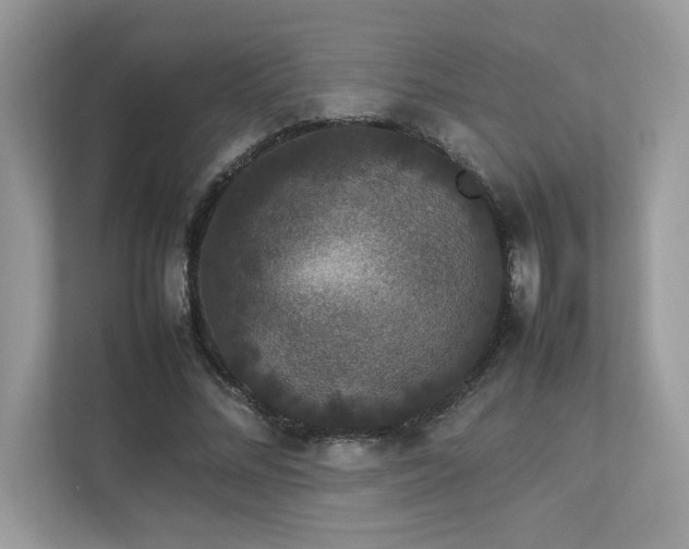 X0000112850684200908211301