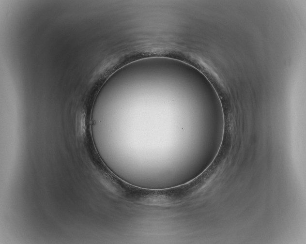 X0000112850685200908211301