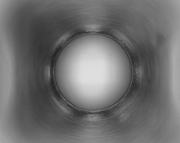 X0000112850686200908211301