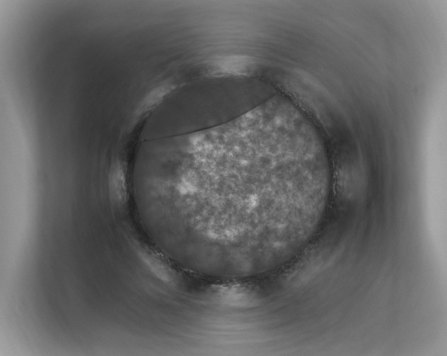 X0000112850688200908211301