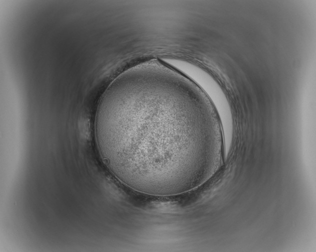 X0000112850689200908211301