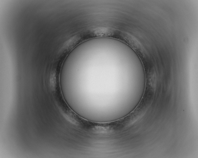 X0000112850690200908211301