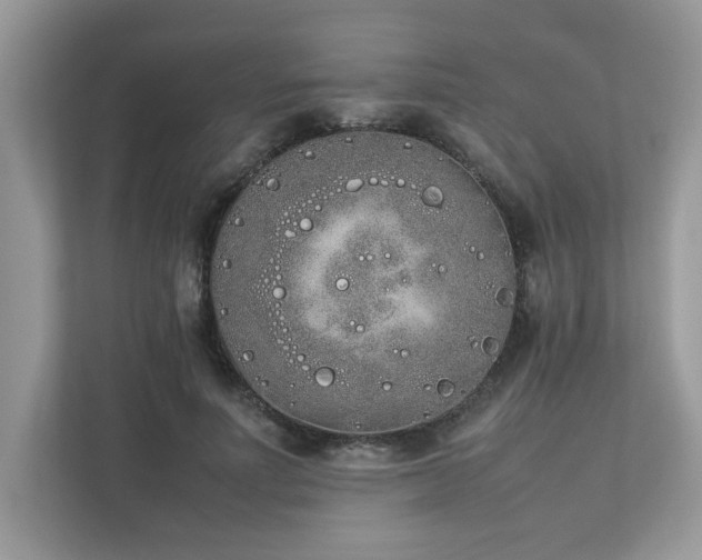 X0000112850691200908211301