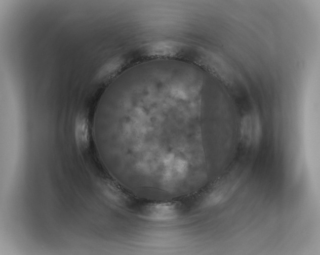 X0000112850692200908211301