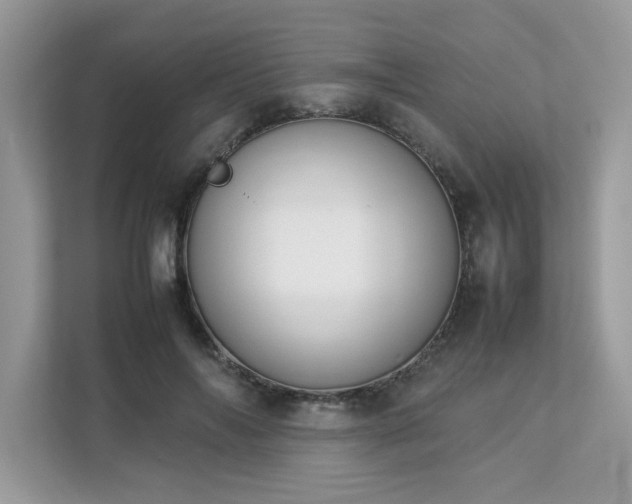 X0000112850694200908211301