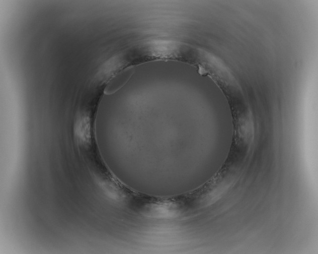 X0000112850696200908211301