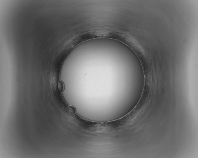 X0000112850697200908211301