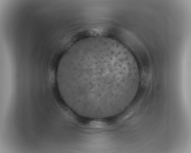X0000112850699200908211301