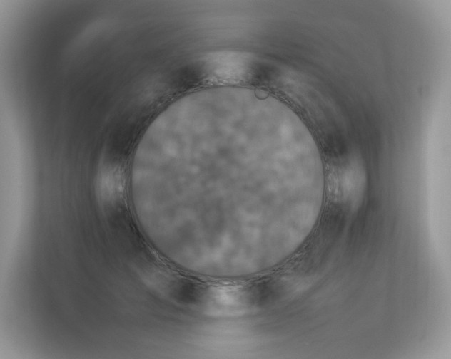 X0000112850701200908211300
