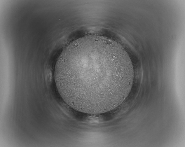 X0000112850703200908211300