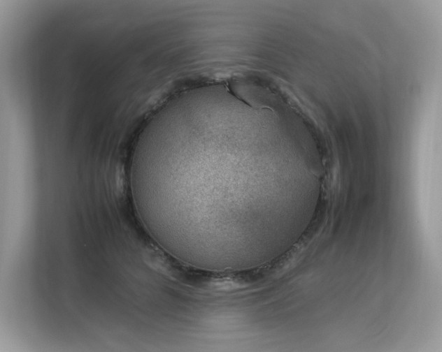 X0000112850704200908211300