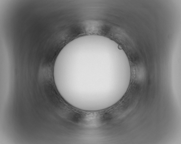 X0000112850705200908211300