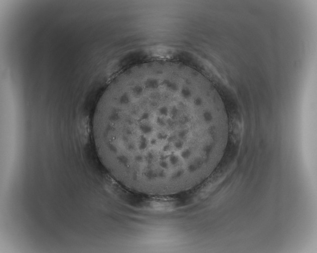 X0000112850707200908211300
