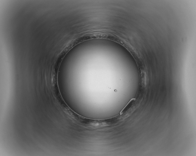 X0000112850712200908211300