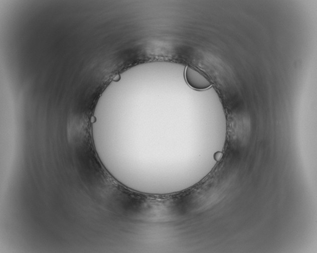 X0000112850713200908211300