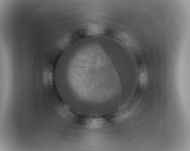 X0000112850716200908211300