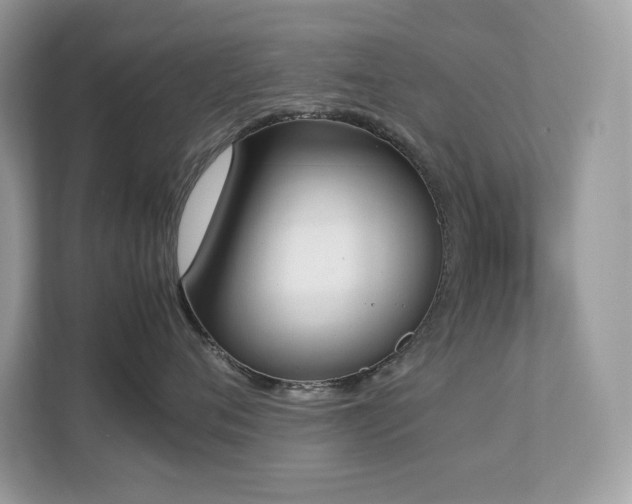 X0000112850720200908211300