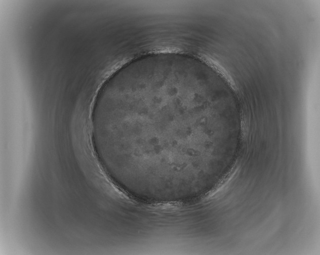 X0000112850721200908211300