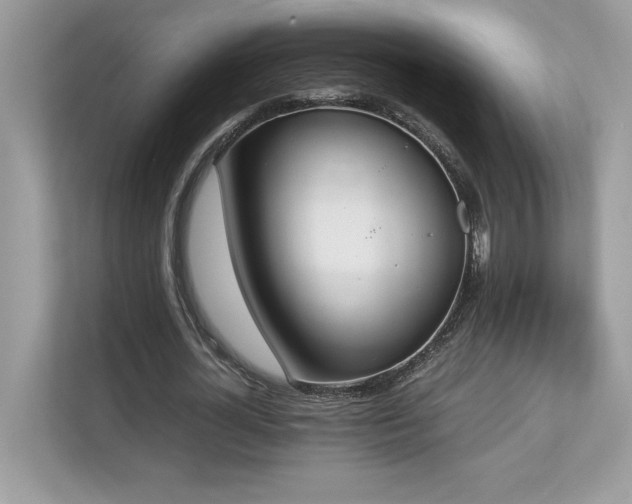 X0000112850724200908211300