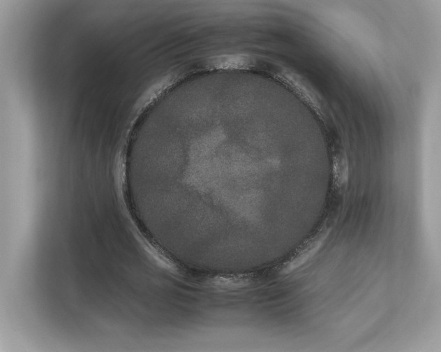 X0000112850725200908211300