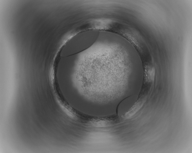 X0000112850726200908211300