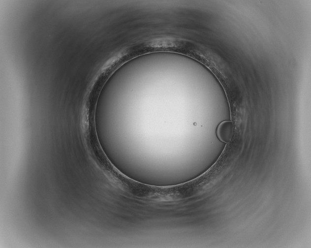 X0000112850727200908211300
