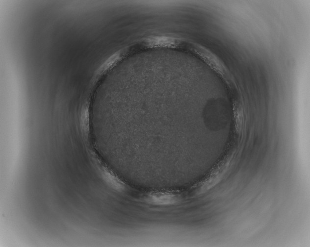 X0000112850729200908211300
