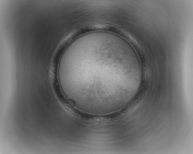 X0000112850736200908211300