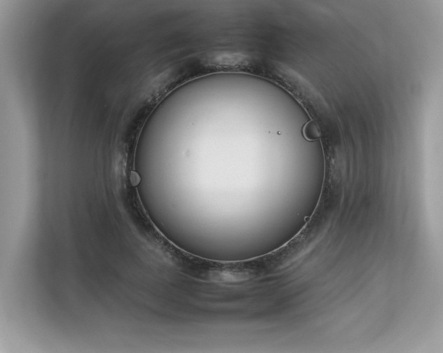 X0000112850739200908211300