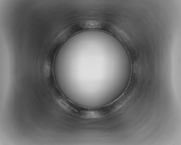 X0000112850741200908211300