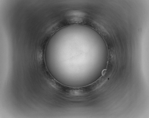 X0000112850745200908211300