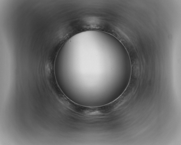 X0000112850747200908211300