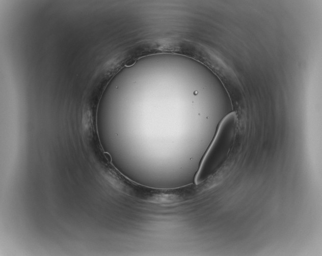 X0000112850748200908211300